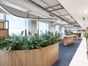 biophilic design office​