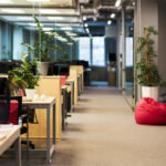 indoor office plants​
