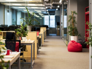 indoor office plants​