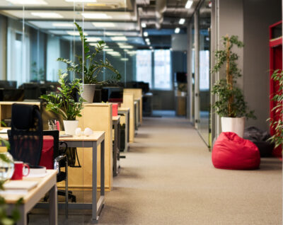 indoor office plants​