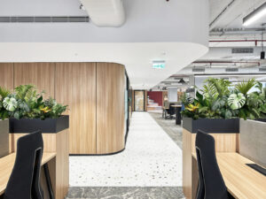 indoor plants for office table​