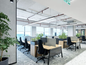 indoor plants for office as per vastu​