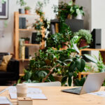 biophilic office design