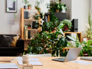 biophilic office design