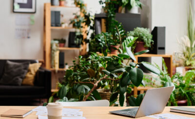 biophilic office design