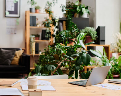 biophilic office design