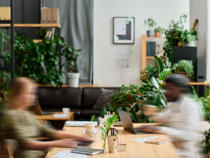 Biophilic Design Concept