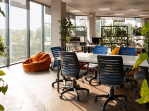 biophilic interior design