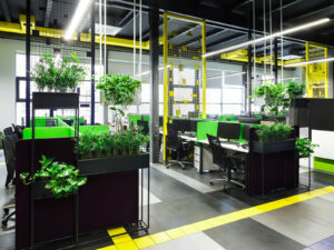 Biophilic Office Designs: Significance